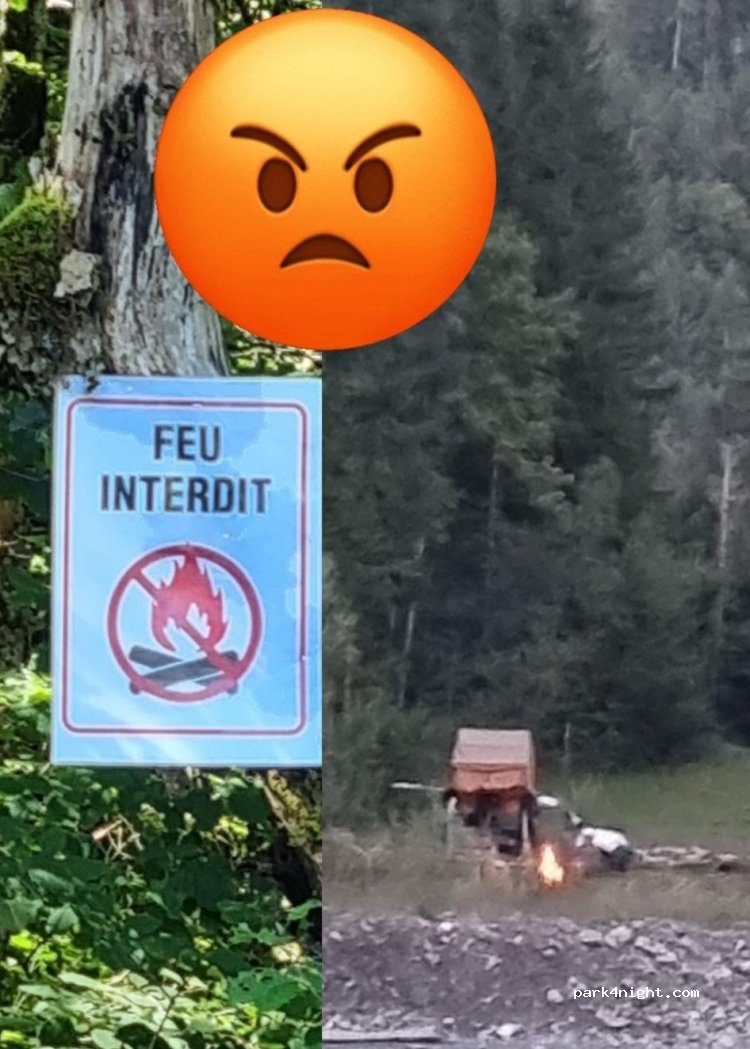 (74740) Sixt-Fer-à-Cheval - 1529 Route de la Glière — foto 4