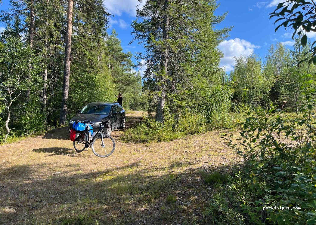 (794 98) Abborrsjöknoppen - — foto