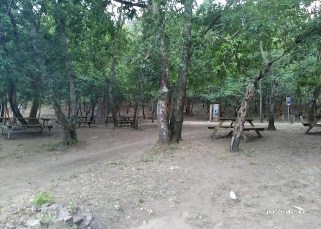 (4690) Travanca - Unnamed Road — foto