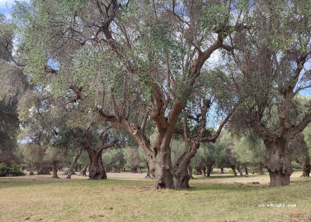 (58100) grosseto - 50 Via del Fante — foto 4