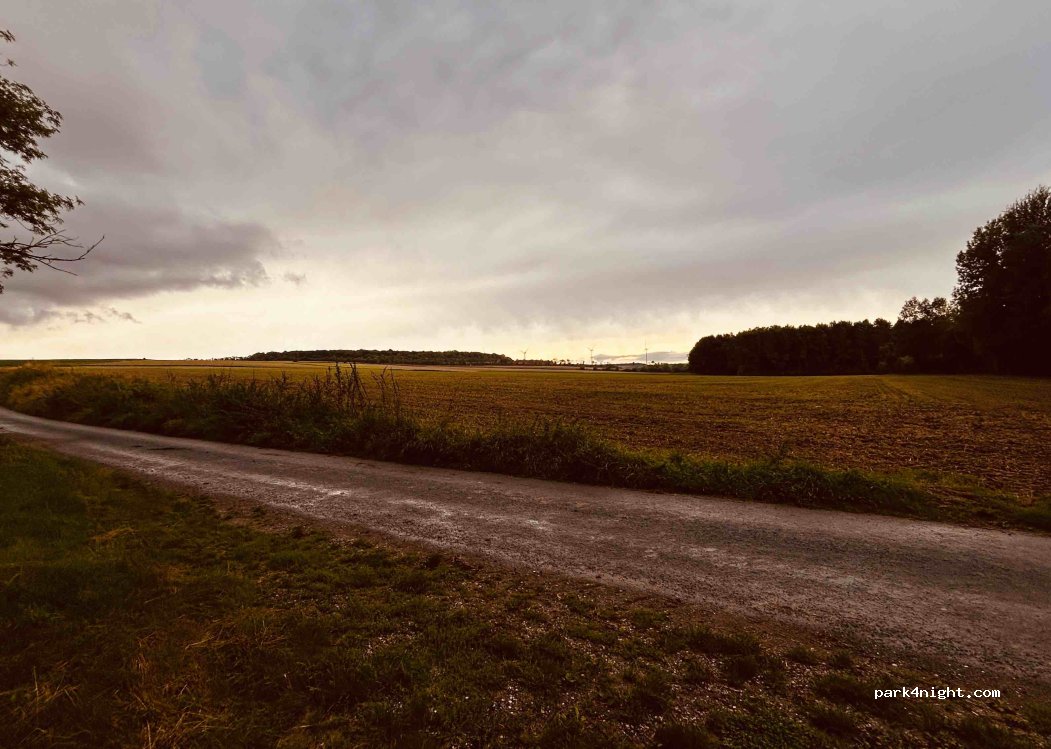 () Hangard Wood - — foto 4