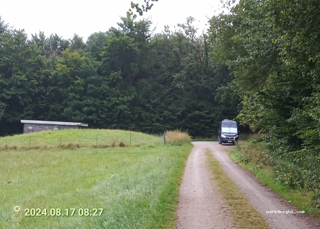 (37586) Dassel - — foto