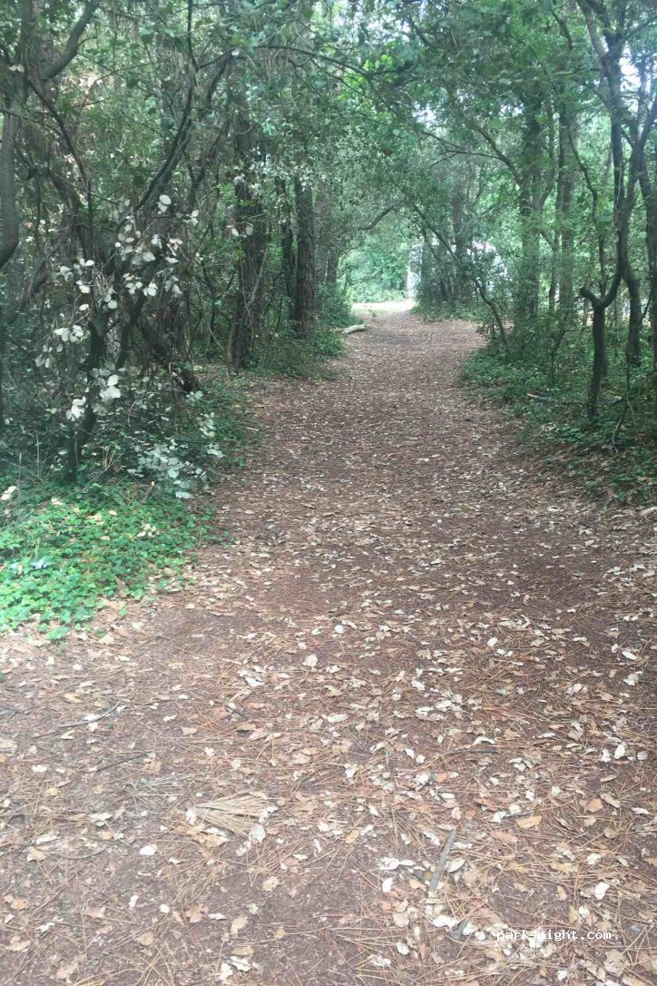 (85560) Longeville-sur-Mer - Le Creux de la Gailloche — foto