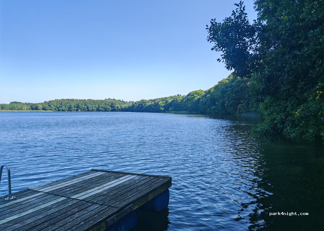 Vedsølejren naturistcamping — foto 5