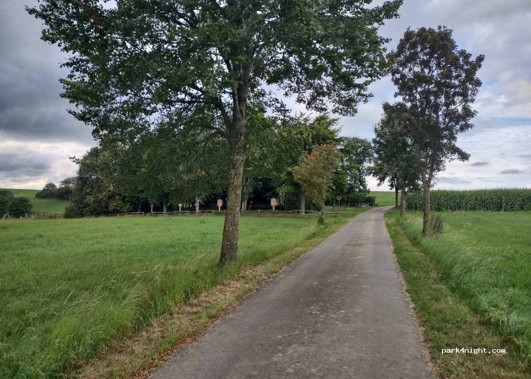 (54619) Eschfeld - 1 Hauptstraße — foto 2