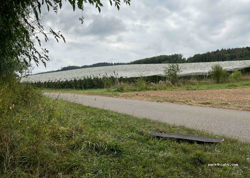 (88690) Uhldingen-Mühlhofen - Unnamed Road — foto 3