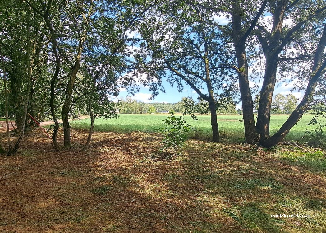 (16818) Walsleben - 5 Kiefernweg — foto 2