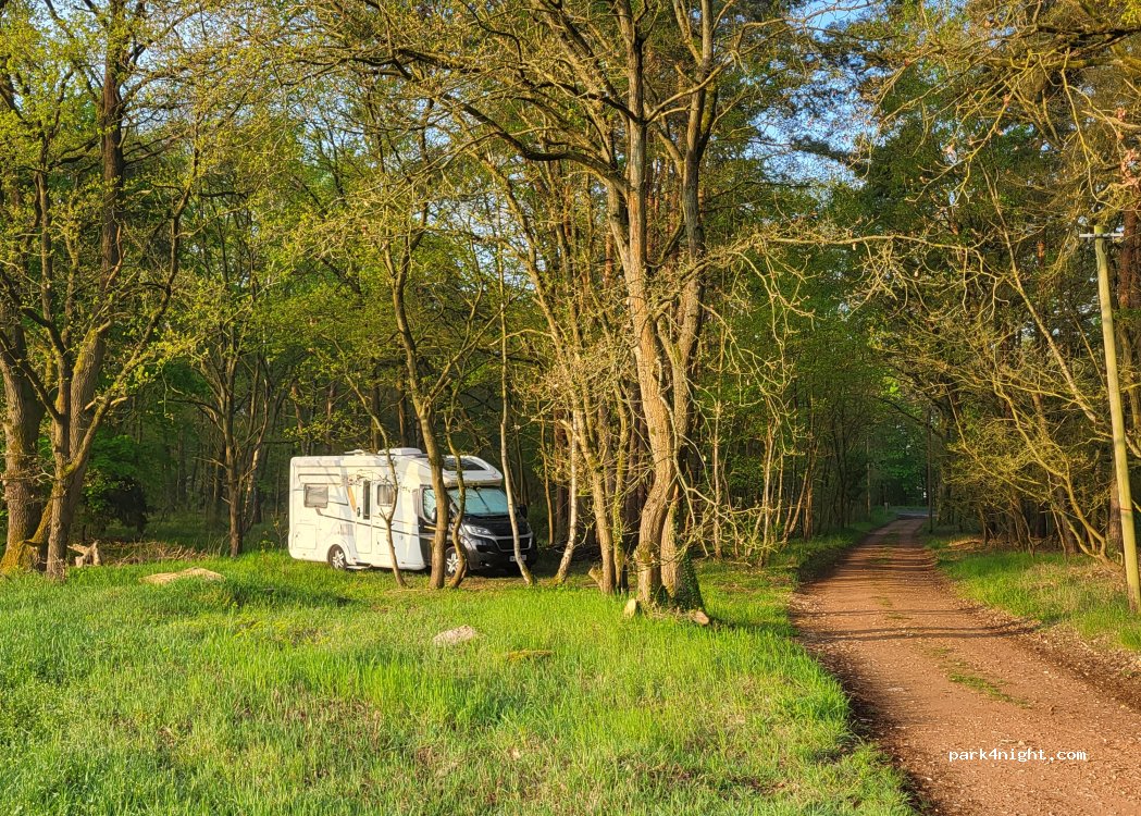 (16818) Walsleben - 5 Kiefernweg — foto 3