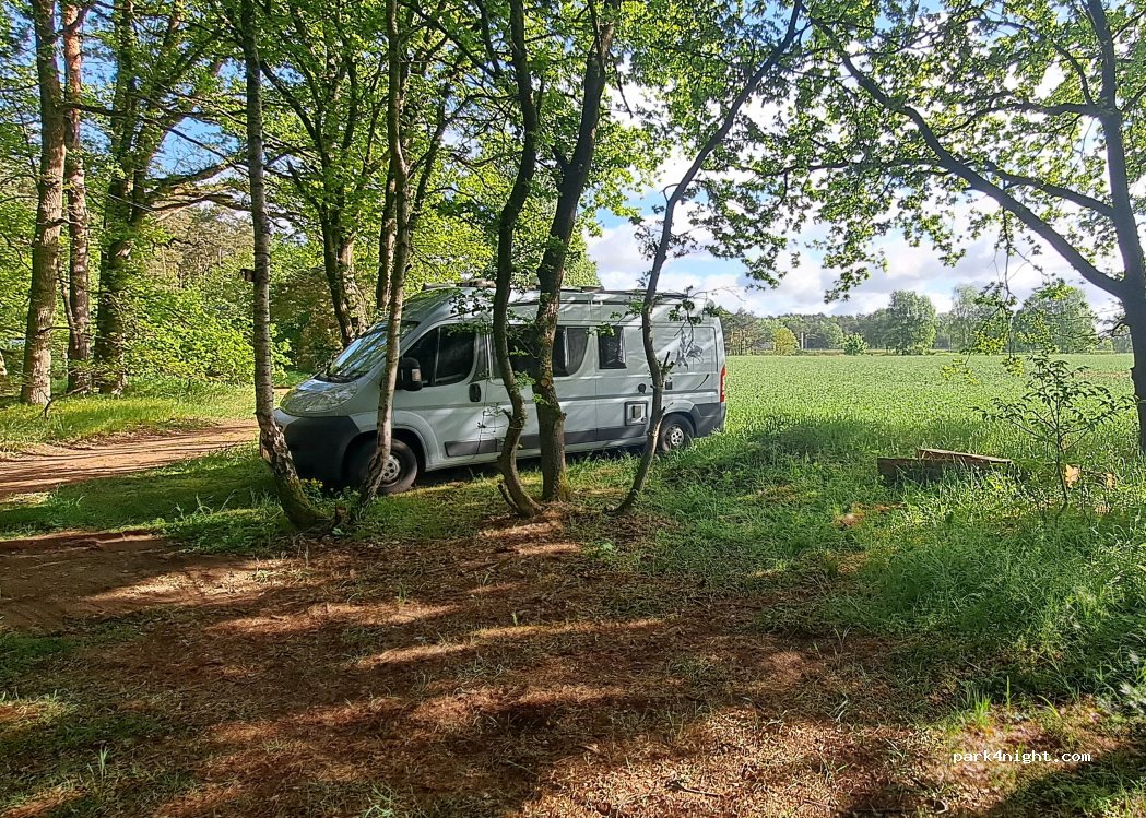 (16818) Walsleben - 5 Kiefernweg — foto 4