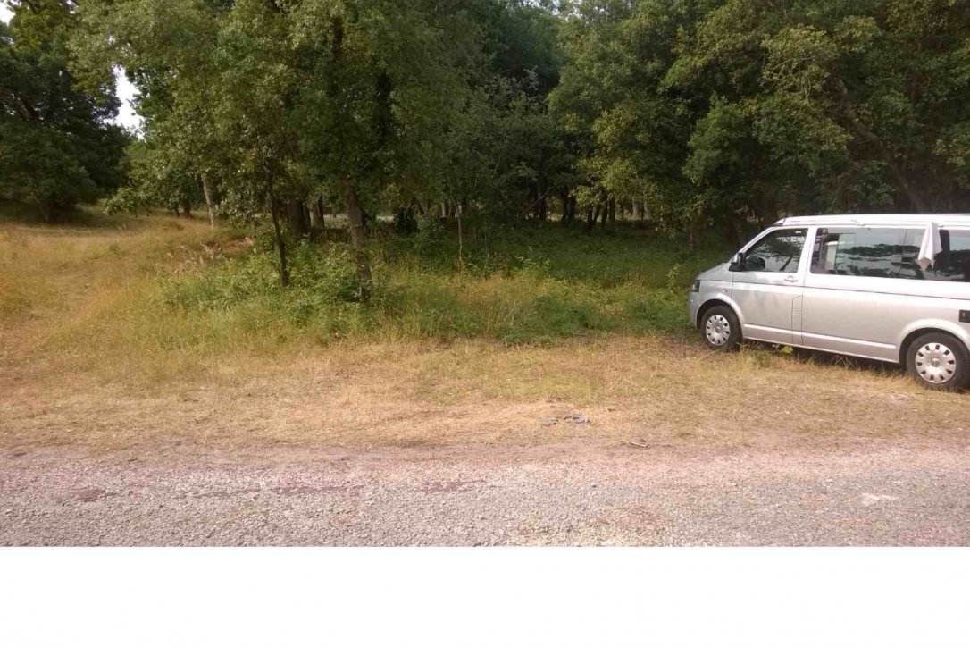 (17390) La Tremblade - D25 — foto