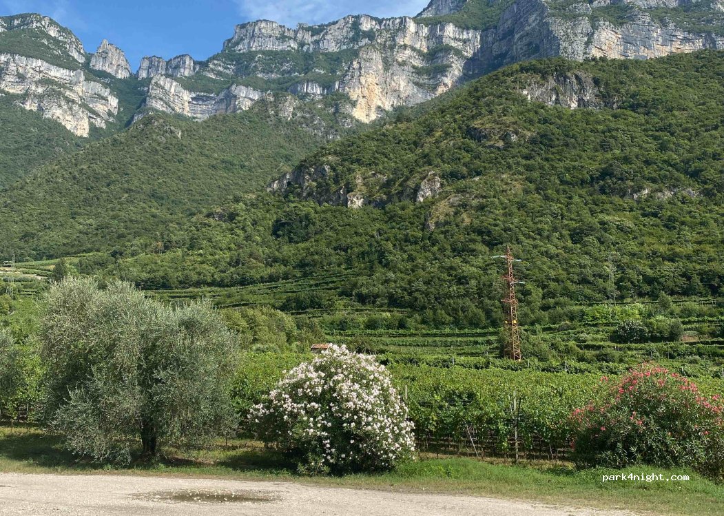 (38063) Avio - 16 Strada Statale 12 — foto