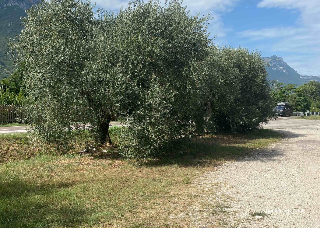 (38063) Avio - 16 Strada Statale 12 — foto 2