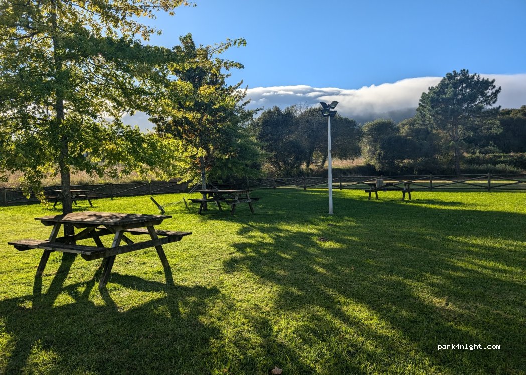 (36780) A Gándara - Unnamed Road — foto