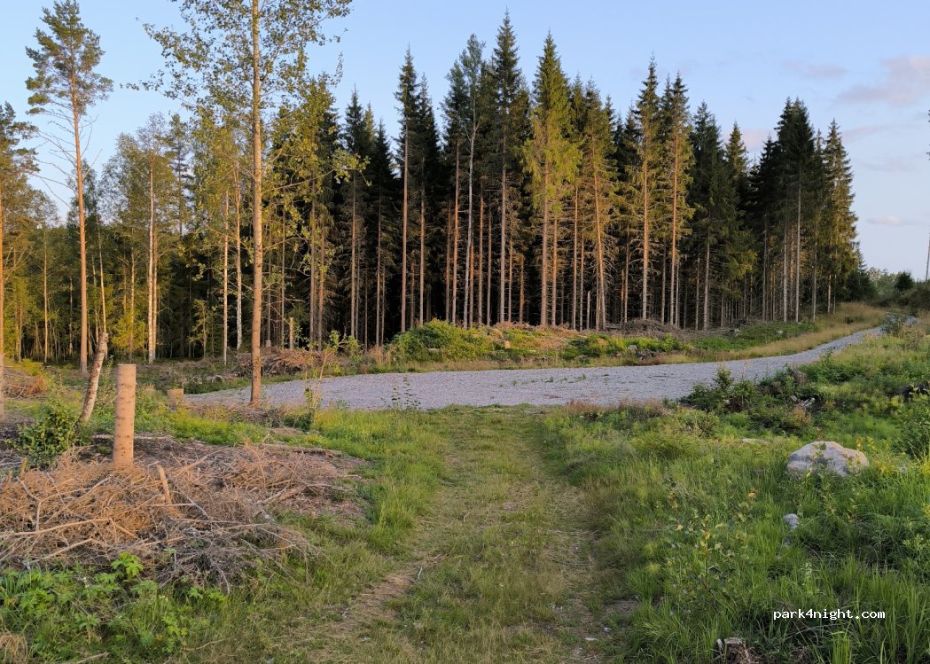 (671 98) Gunnarskog - Unnamed Road — foto