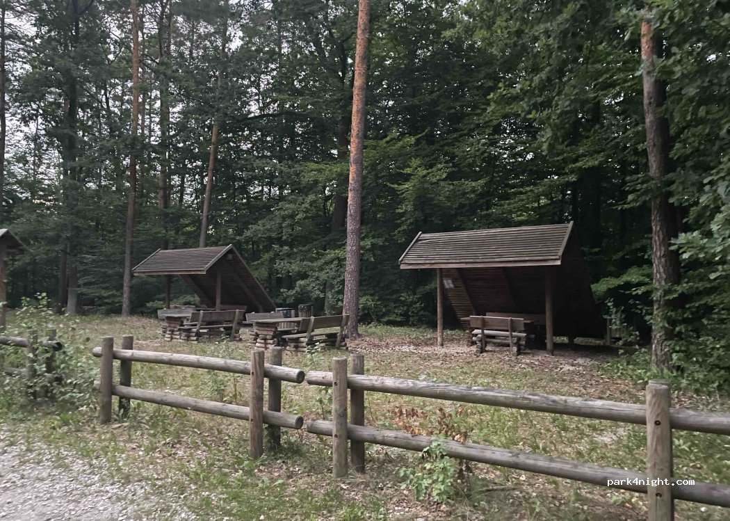 (09-110) Kępa - Unnamed Road — foto 2