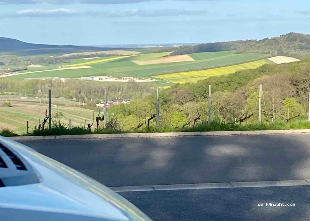 (51160) Mutigny - Route de Montflambert — foto 3