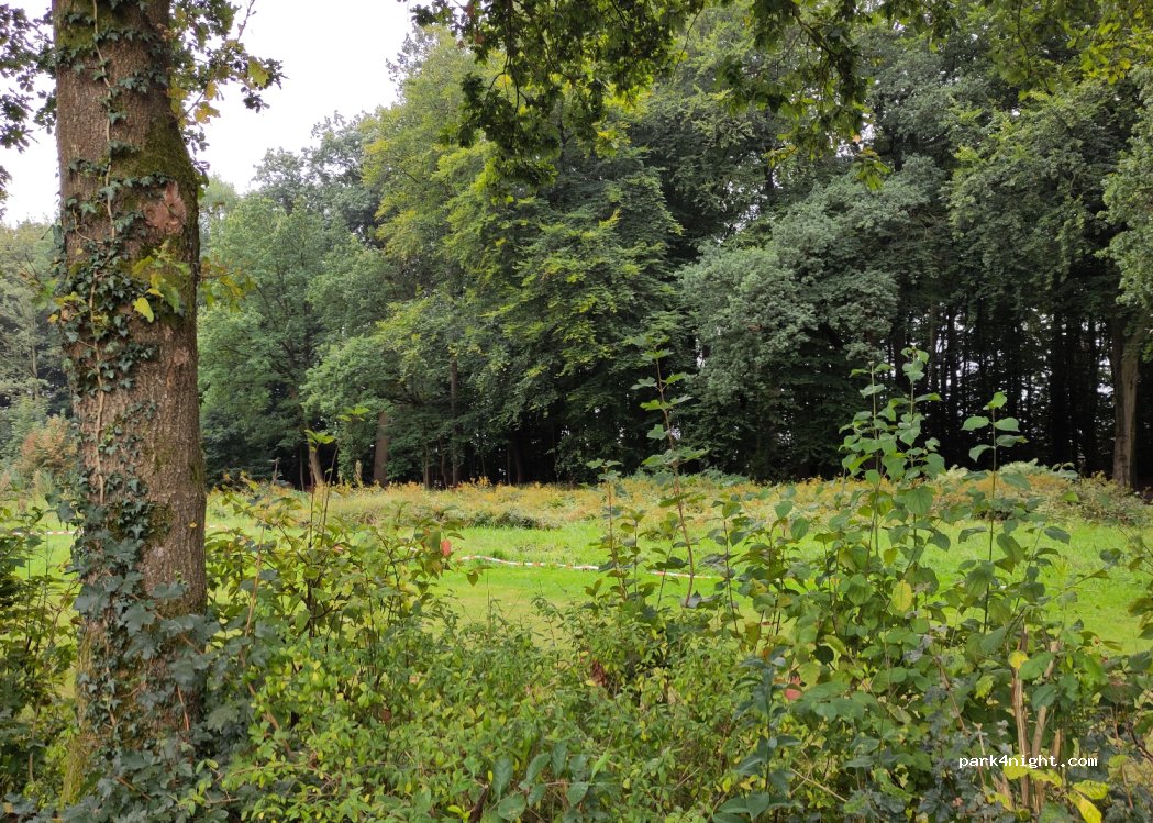 (21698) Harsefeld - 3 Quellenweg — foto 2