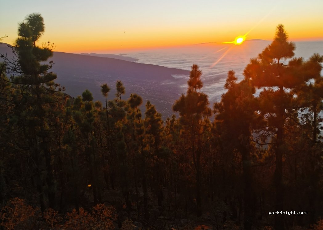 (38310) Aguamansa - Unnamed Road — foto 2
