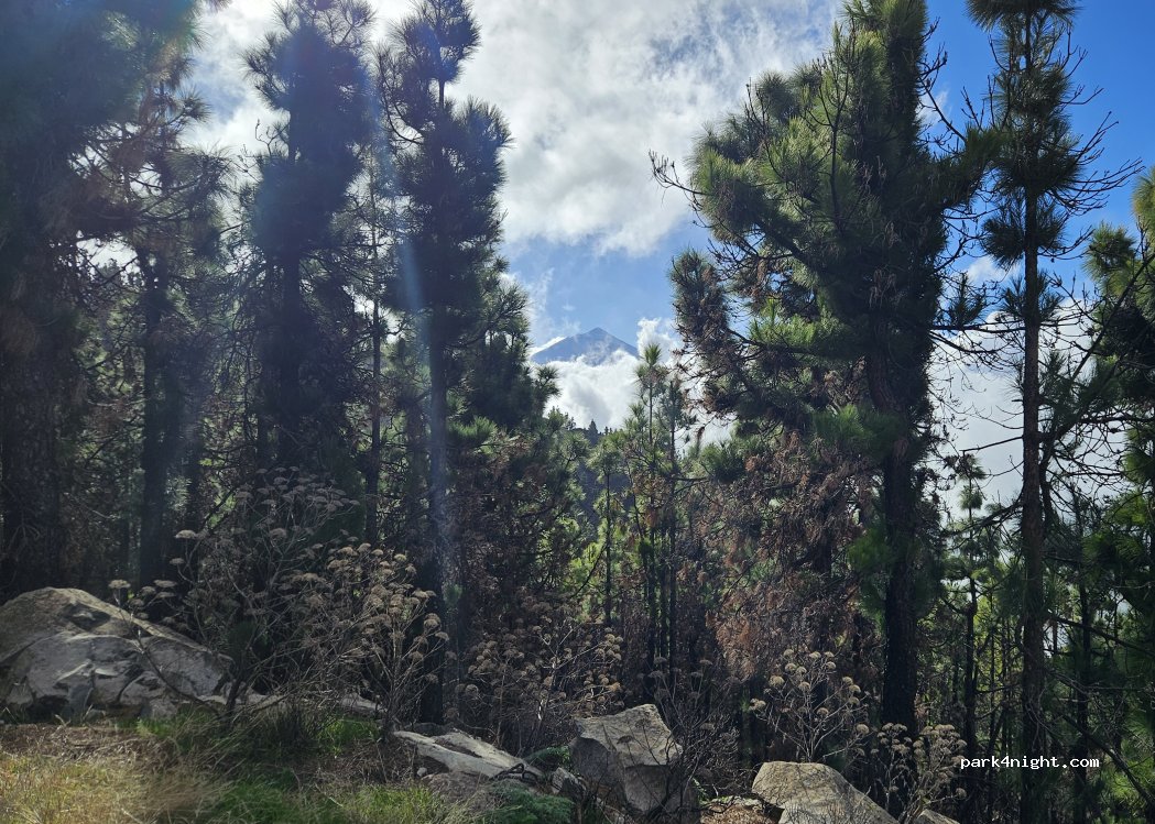 (38310) Aguamansa - Unnamed Road — foto 3
