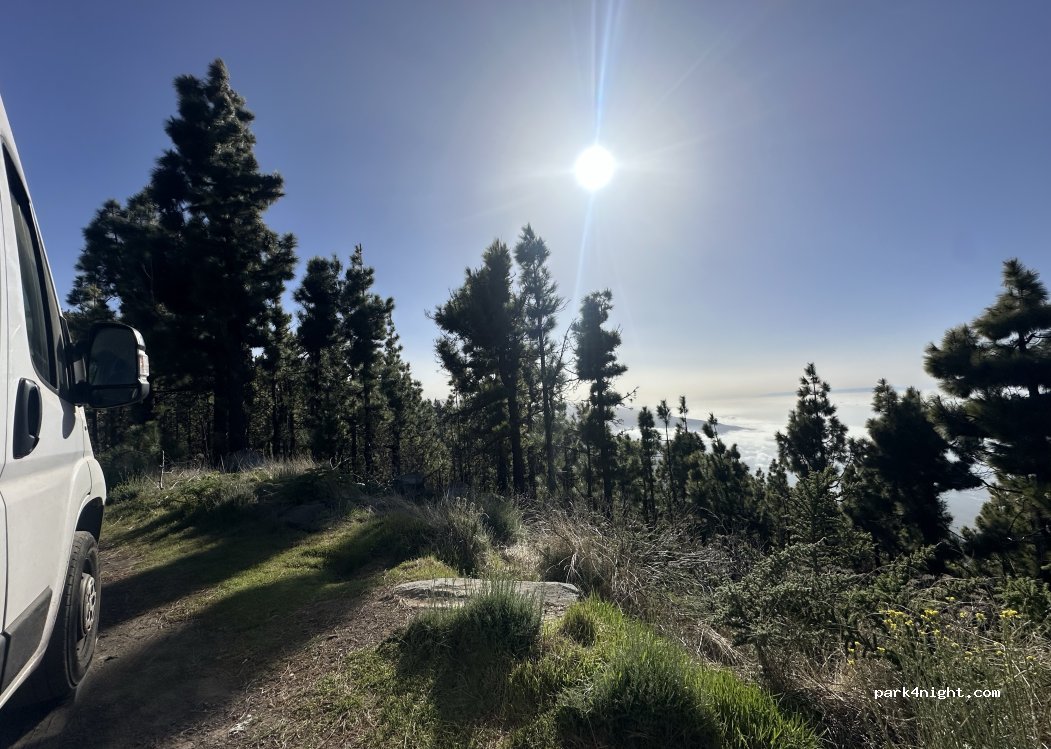 (38310) Aguamansa - Unnamed Road — foto 5