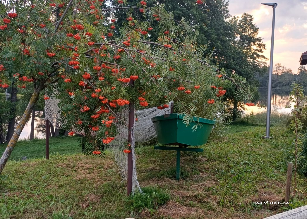 (11-034) Majdy - 76 ul. Adama i Ewy — foto