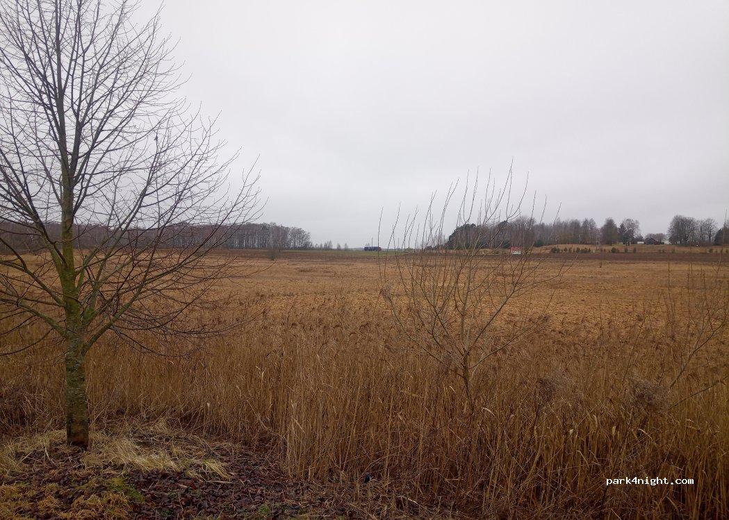 (38240) Kučių kaimas - 1 Bistrampolio gatvė — foto 3