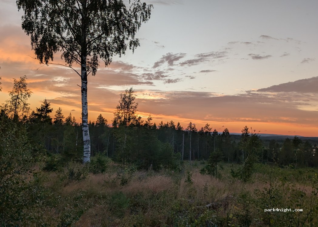 (915 93) Robertsfors Ö - — foto 5