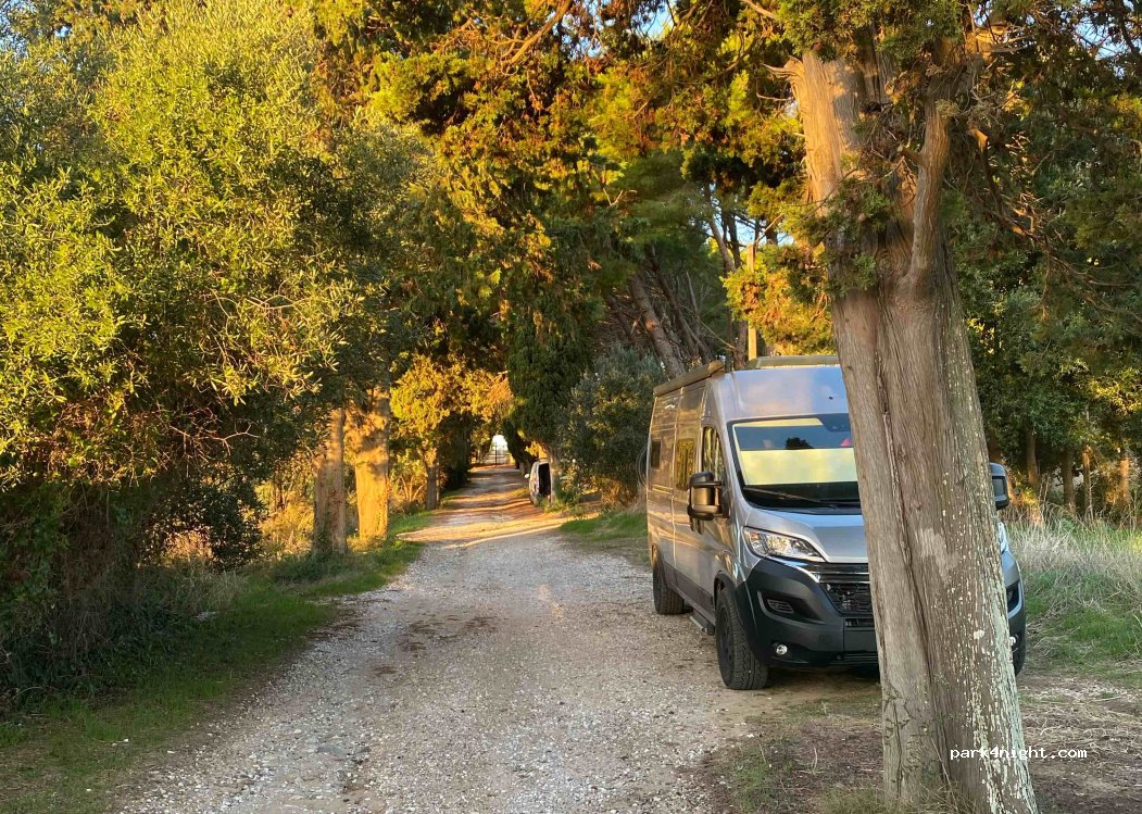 (57025) Piombino - Località Poggio al Mulino — foto 3