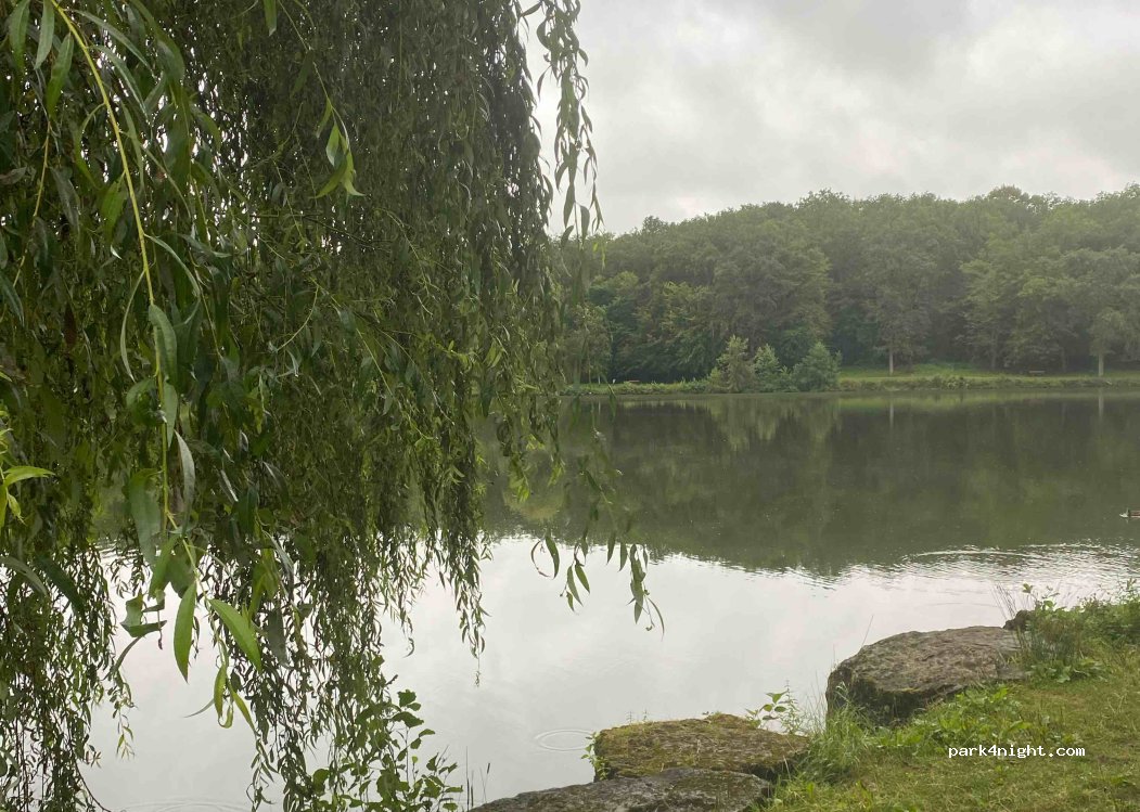 (88140) Contrexéville - 1 Route des Lacs — foto