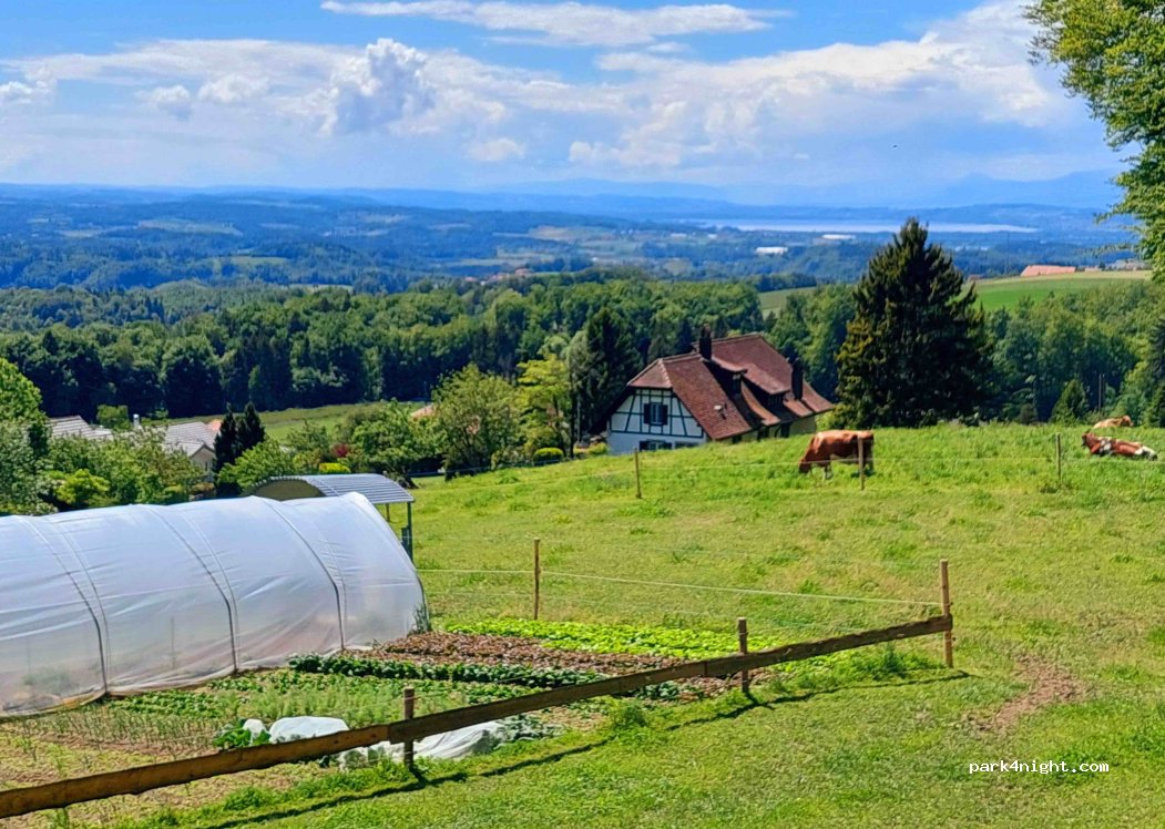 (3044) Innerberg - Tannenweg 2 — foto