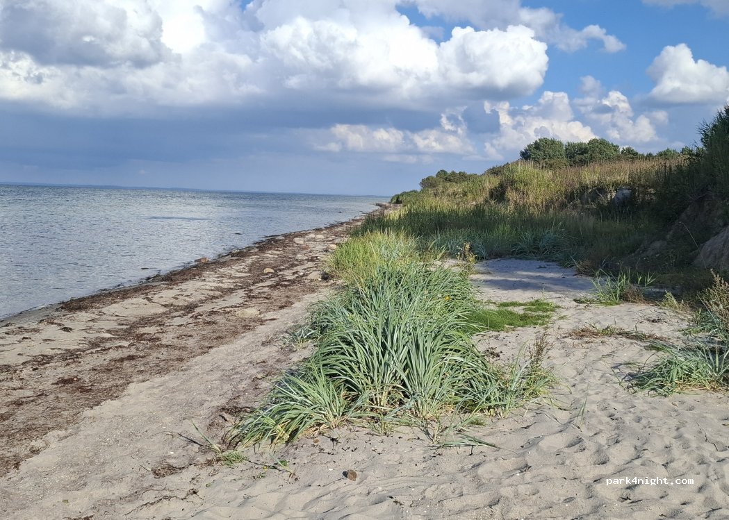 (6430) Nordborg - Gammelskovvej — foto 5