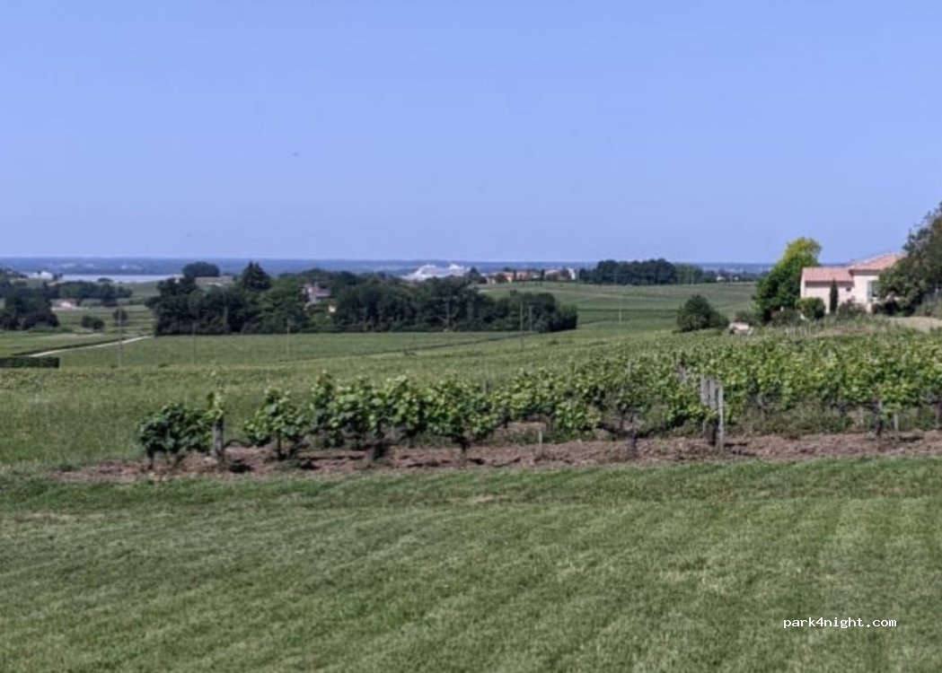 Château Haut La Valette - Bergeron Vignerons — foto 2