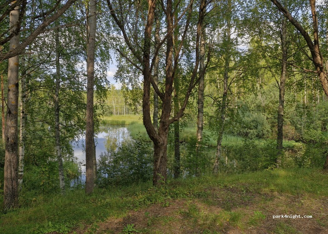 (63800) Soini - 942 Karstulantie — foto 2