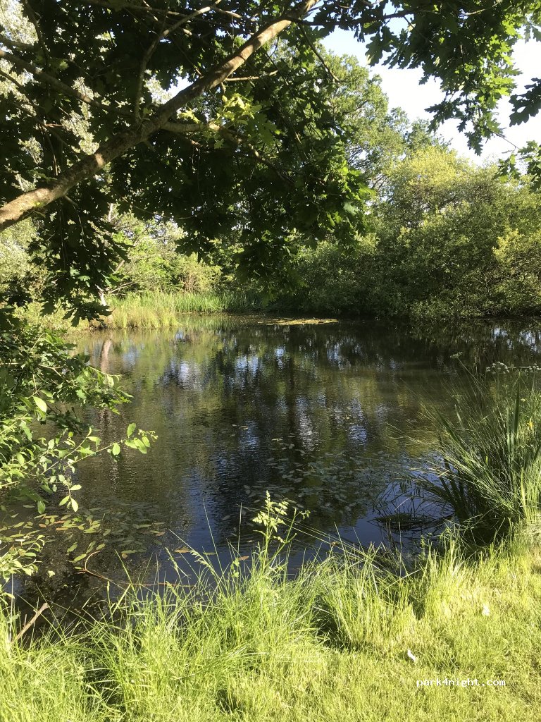 School House Farm Camping — foto 3