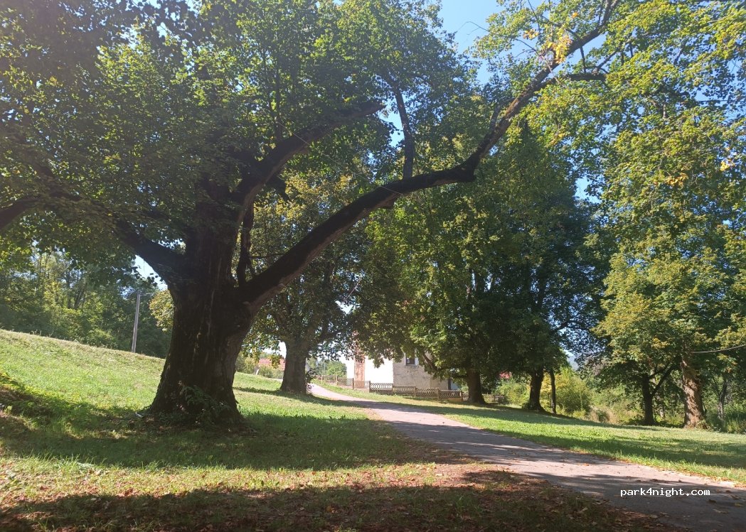 (53220) Zalužnica - — foto 3