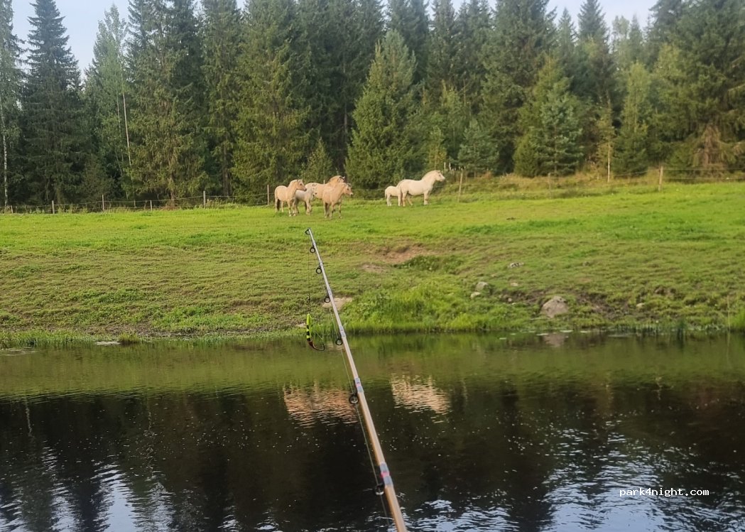 (30100) Forssa - 472 Lempääntie — foto 4