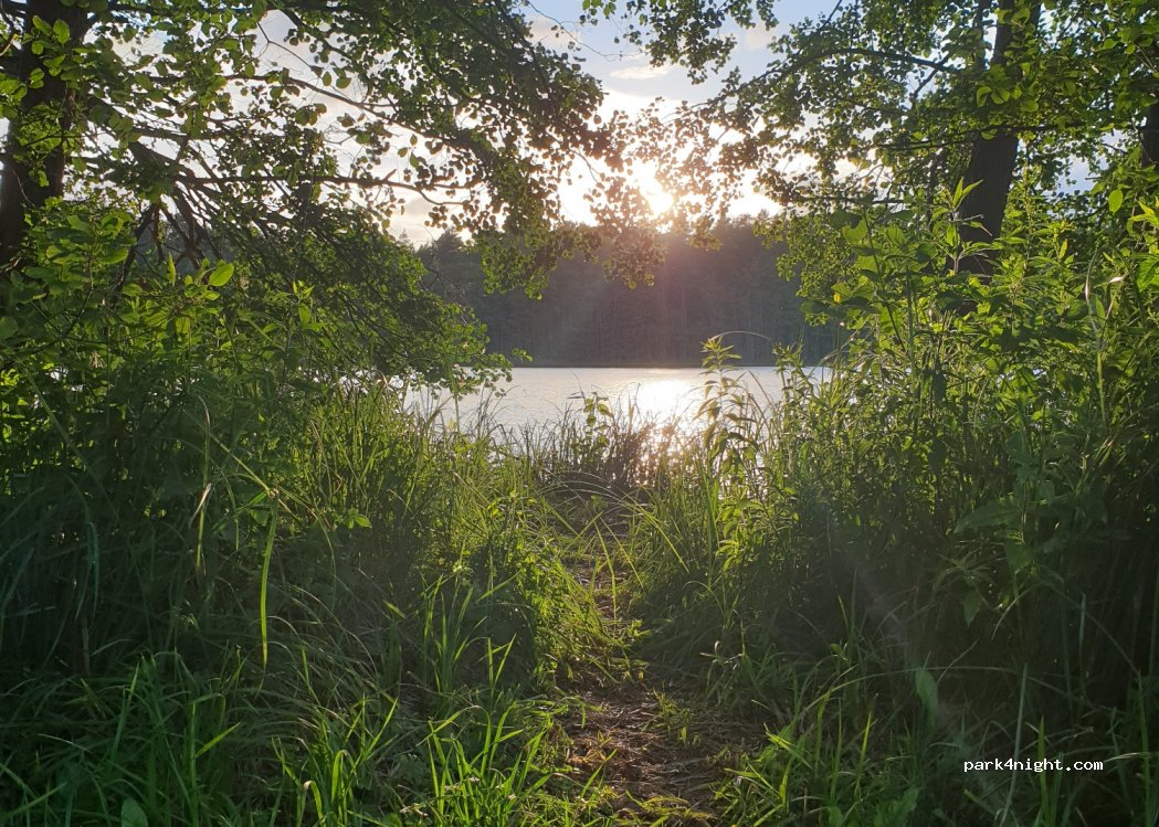 (16837) Rheinsberg - Unnamed Road — foto 4