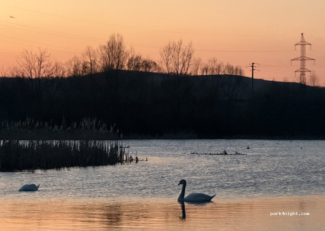 (337115) Comuna Bretea Română - 668C — foto