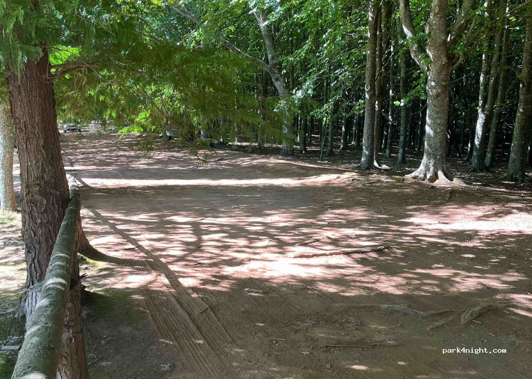 () Santo António da Serra - ER202 — foto