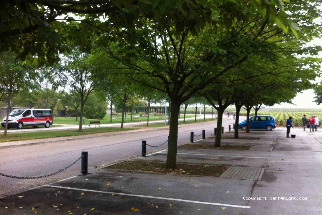 (21700) Nuits-Saint-Georges - Rue des Charmottes — foto