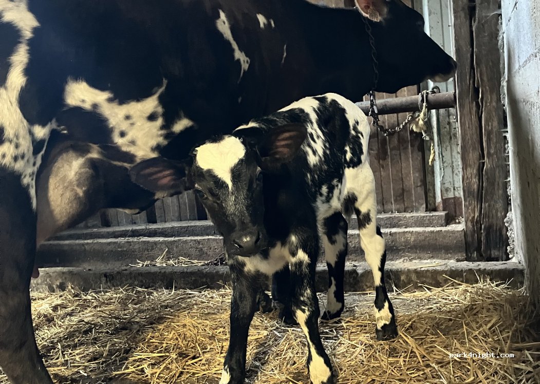 (56610) Arradon - 1 Chemin de Talhouac'h — foto 4