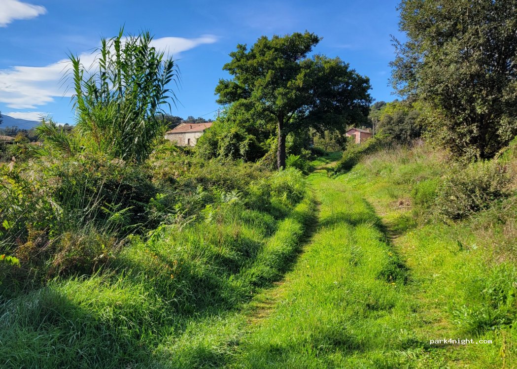 (20218) Piedigriggio - Taverna — foto