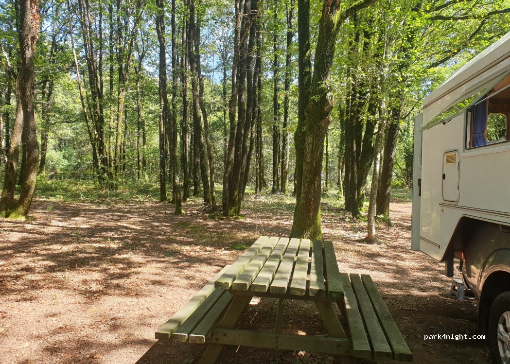 (79420) Beaulieu-Sous-Parthenay - D22 — foto 4