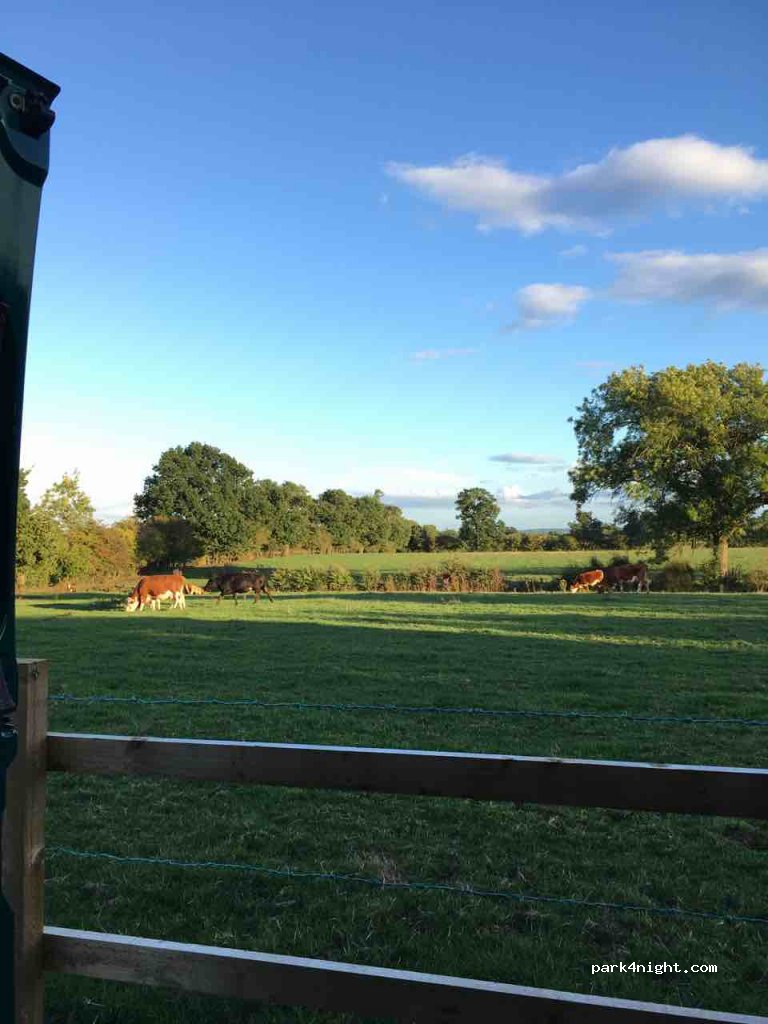 Birch Bank Farm Caravan & Campsite+441244335233 — foto 2