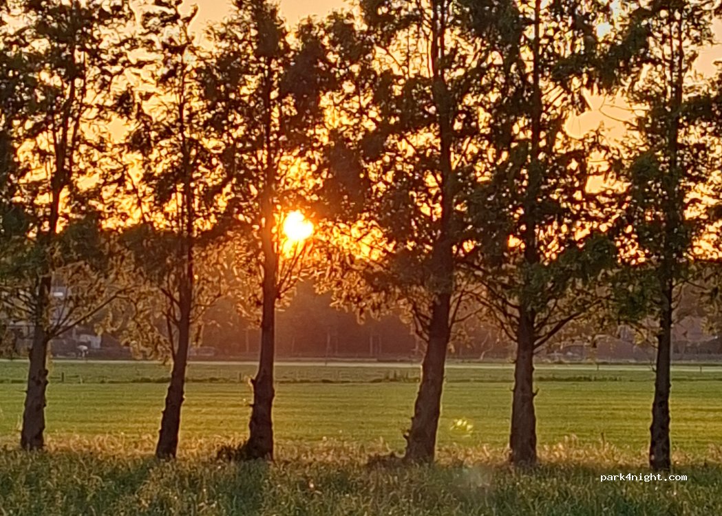 Camping / camperplaats Niks Hoeve — foto 5