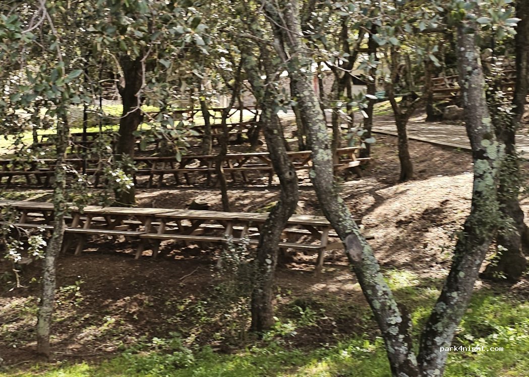 (07030) Arzachena - — foto