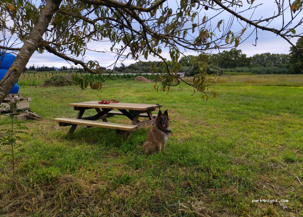 Granja Cal Cigarro — foto 5