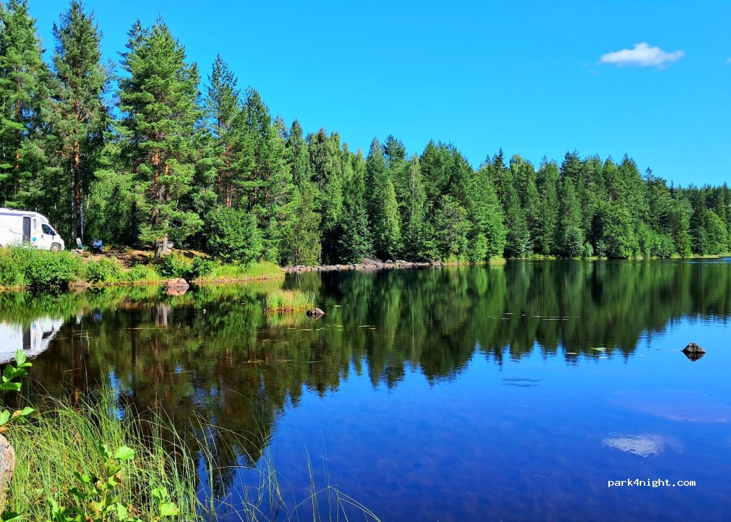(2224) Varaldskogen - — foto
