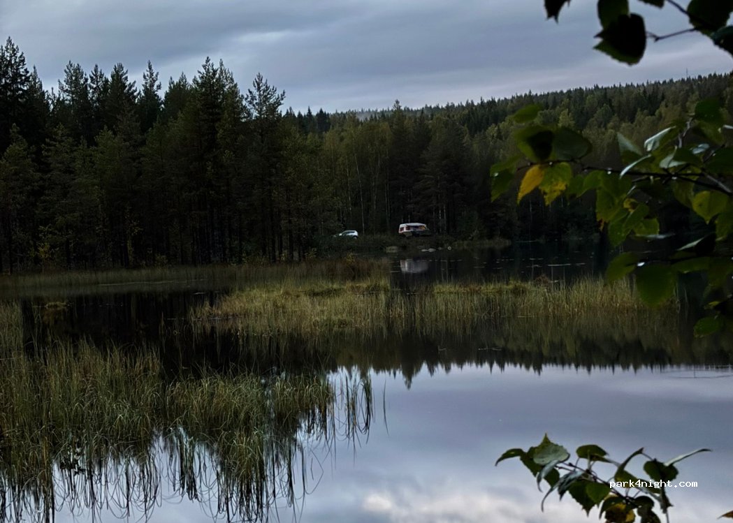 (2224) Varaldskogen - — foto 2