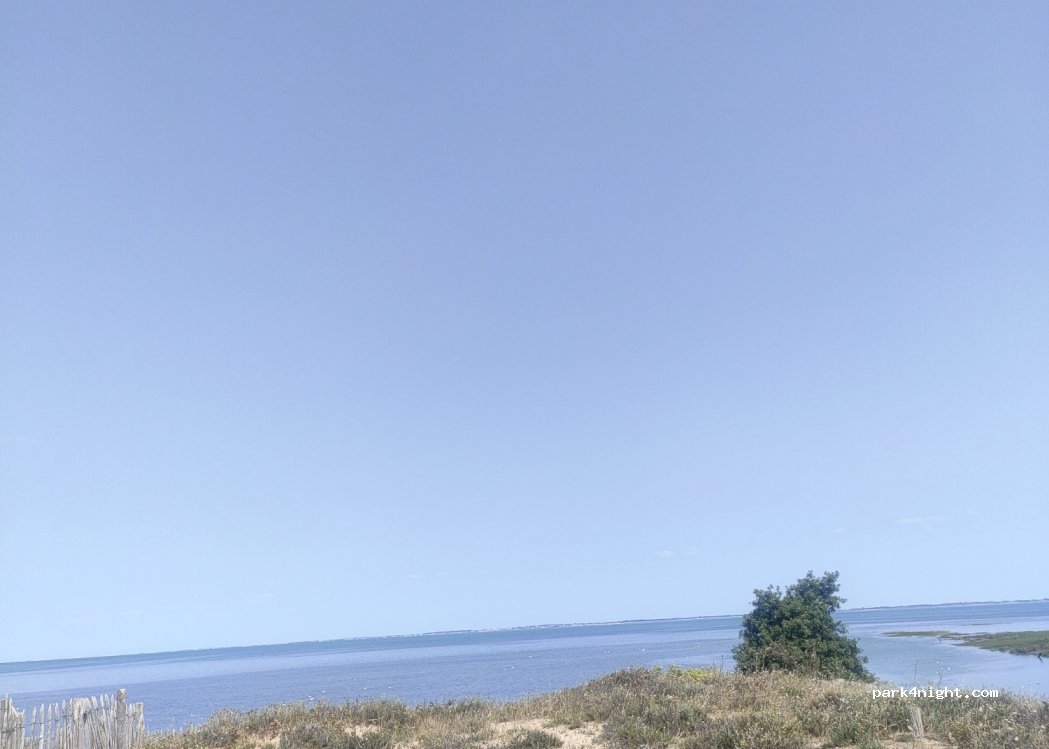 (17550) Dolus-d'Oléron - L'Isleau — foto